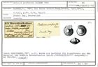 Karteikarte zum Syntyp von Rotalia perforata Karrer, 1864